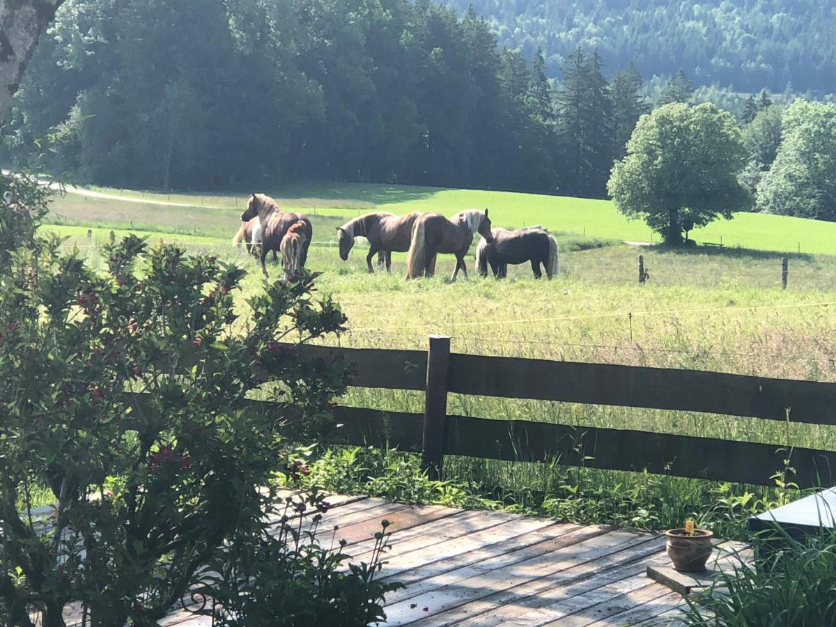 Ferienwohnung Sonnenlaeng Hechenberg Esterno foto